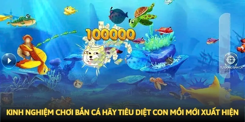 Kinh nghiệm chơi bắn cá hãy tiêu diệt con mồi mới xuất hiện Kinh nghiệm chơi bắn cá hãy tiêu diệt con mồi mới xuất hiện