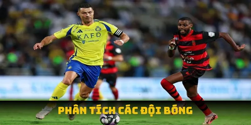 Phân tích các đội bóng Phân tích các đội bóng